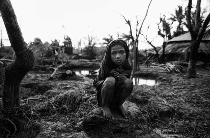 虎影侠 - 消失的部落获奖纪录片海报